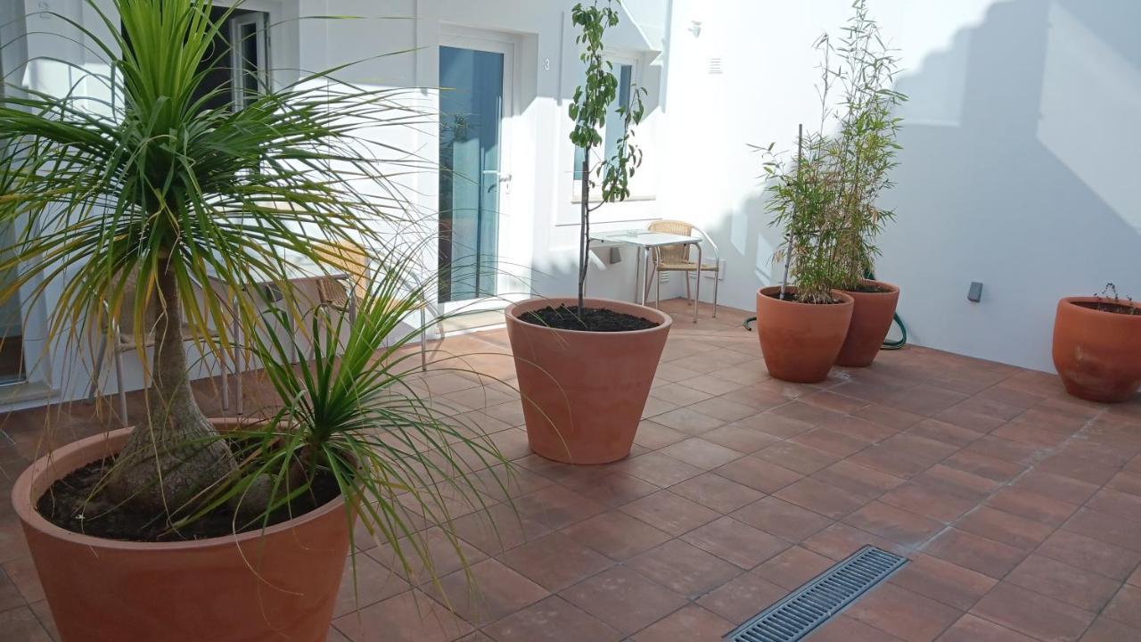 Apartamentos Naturalis Vila Nova de Milfontes Kültér fotó